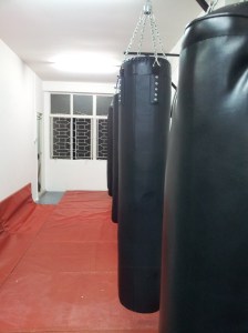 Punching Bag Area 8