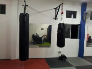 Punching Bag Area 2